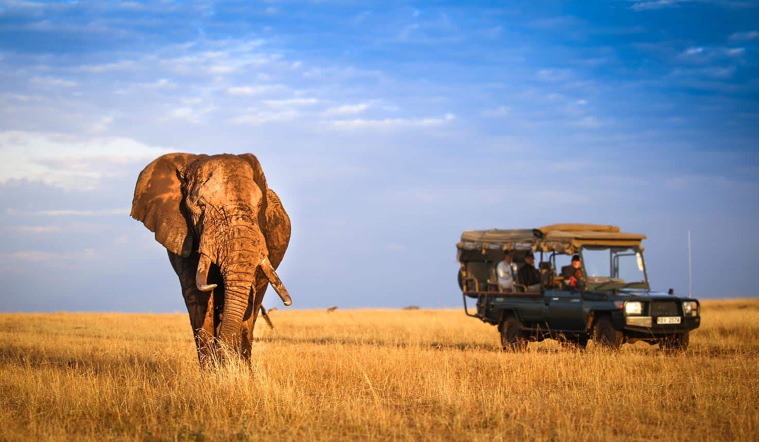 african safari tour package