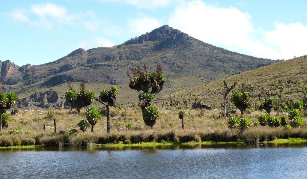 mount elgon