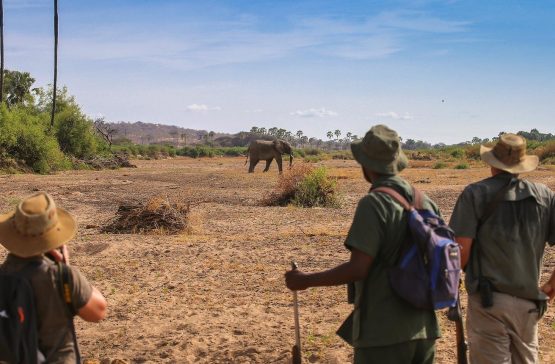 12 safaris in uganda 2023