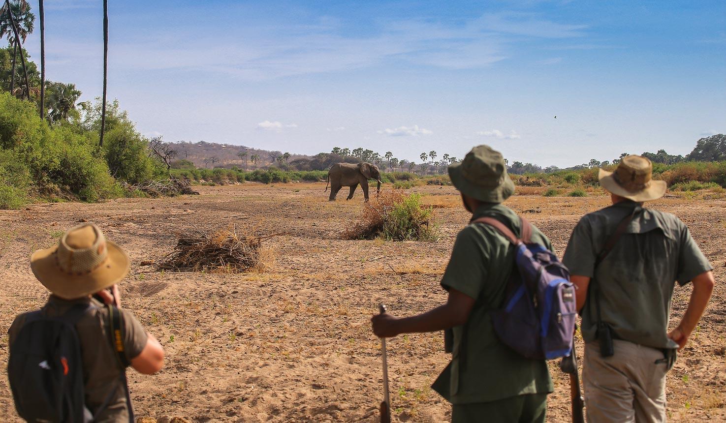 16 days Uganda safari