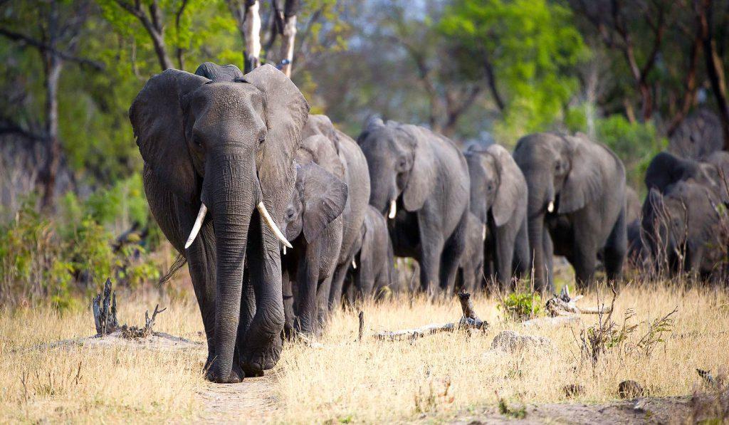 Amboseli National Park