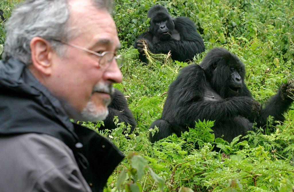 Rwanda gorilla trekking
