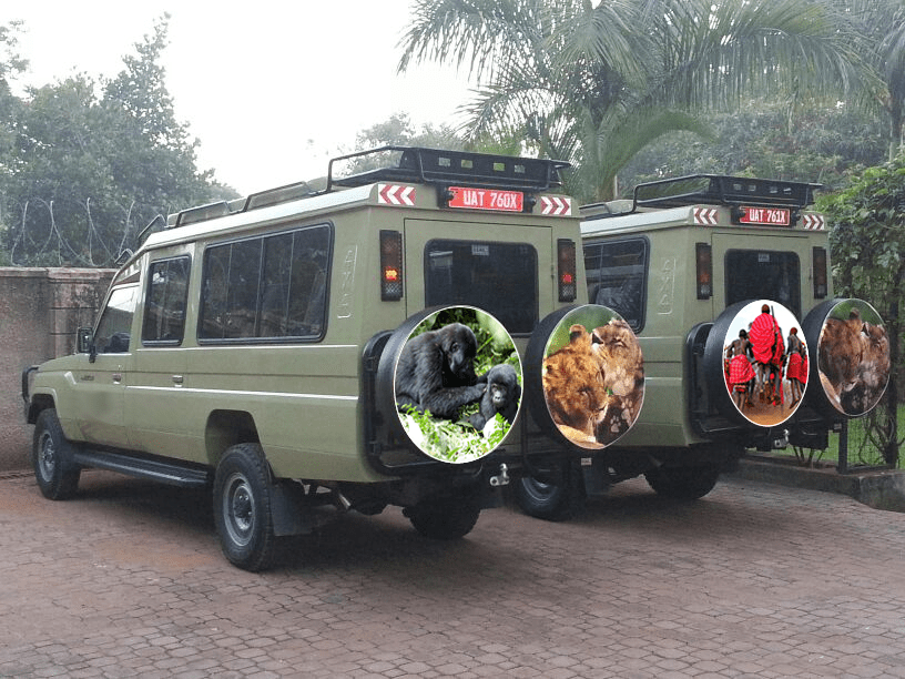 8-Day Rwanda Safari Tour