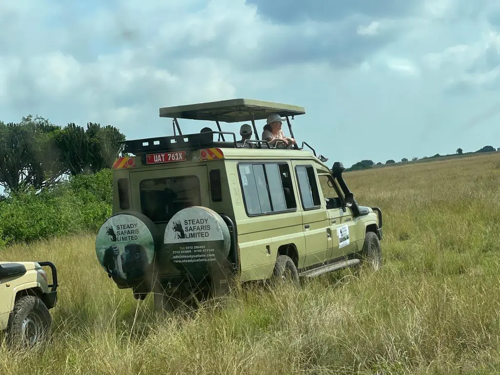 about us steady safaris limited