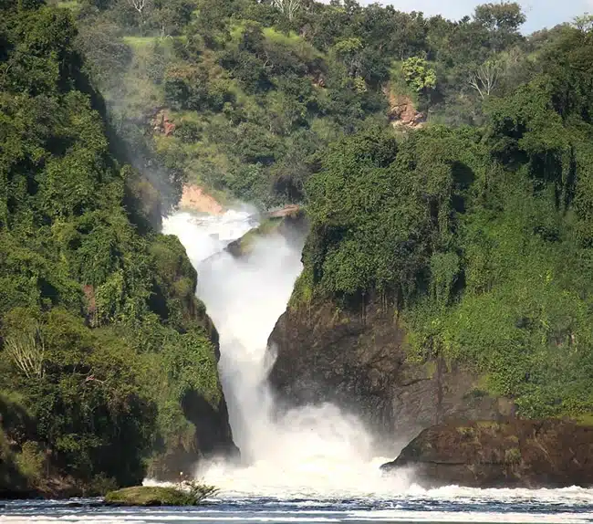 Murchison Falls Safari