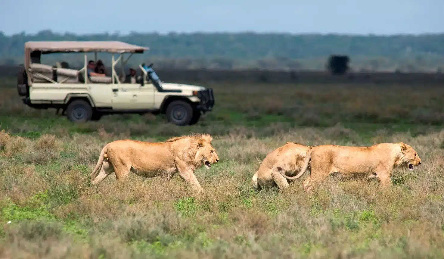 16 Days Uganda adventure safari