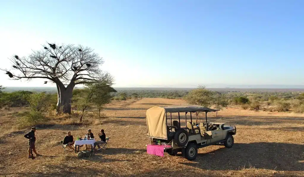 best time for an African safari