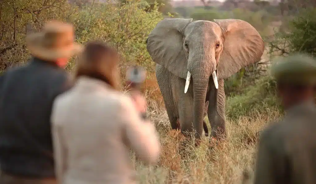 Family Safaris in East Africa