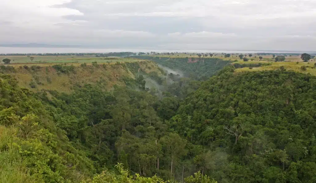 Kyambura Gorge 