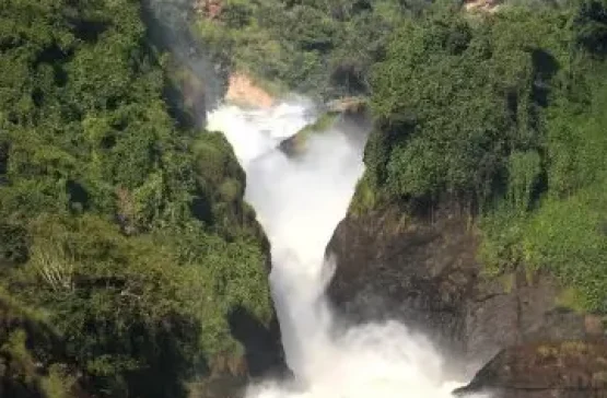 the-murchison-falls.fw the murchison falls